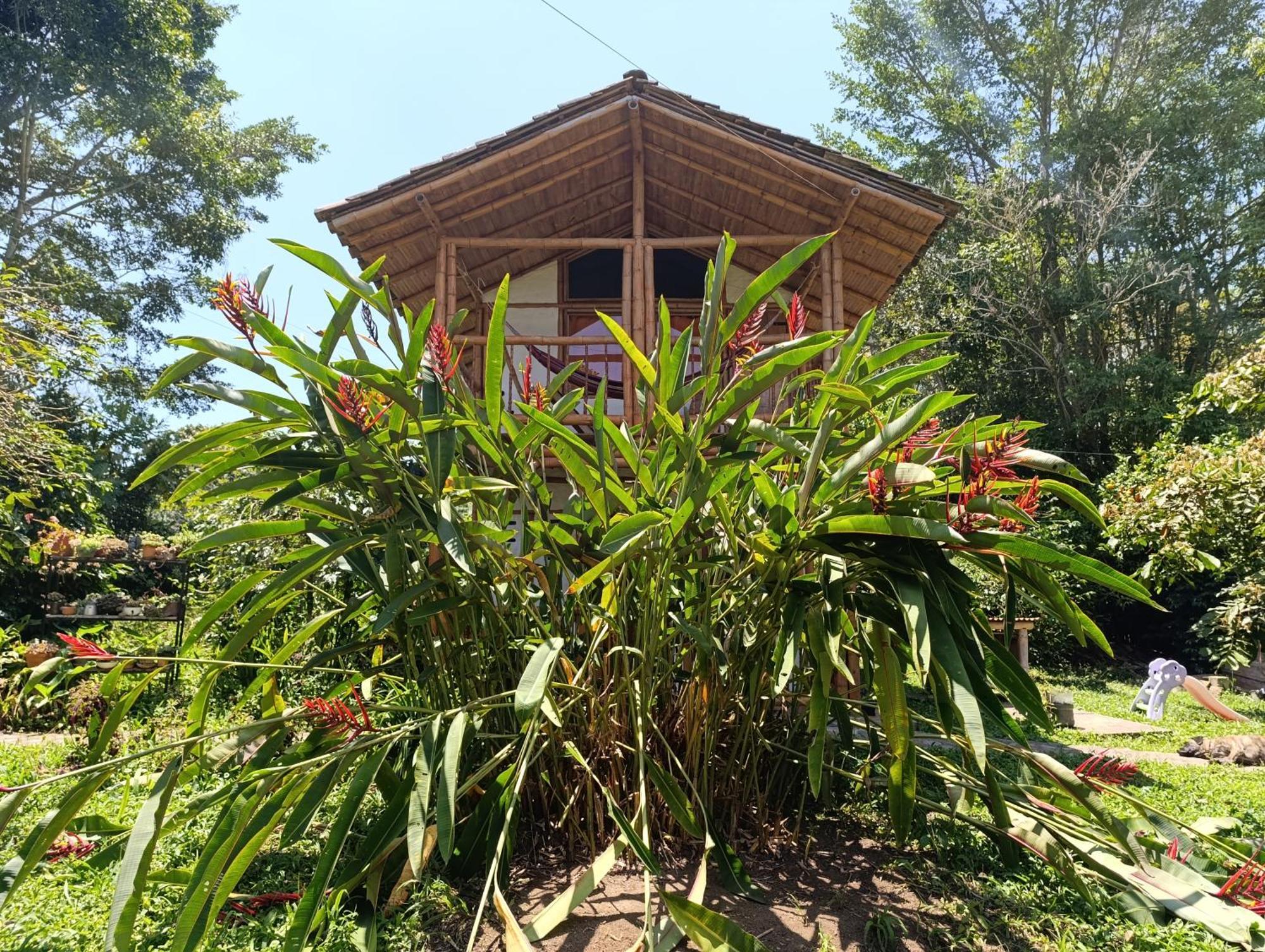 Casa Entera Finca Cometa San Agustín Exteriör bild