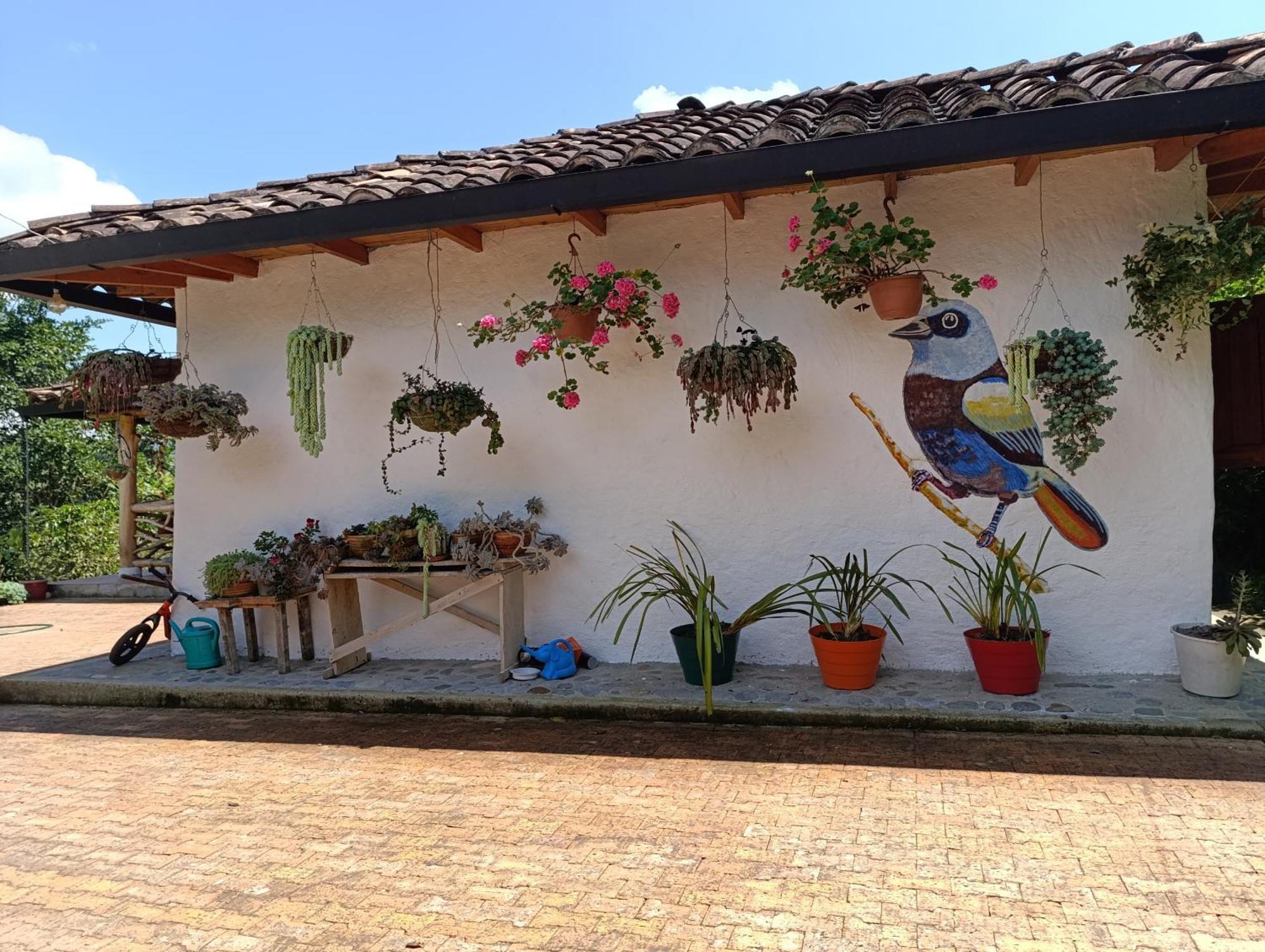 Casa Entera Finca Cometa San Agustín Exteriör bild